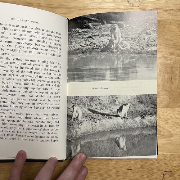 The Desert Pool A Romance of Wildest Africa With 89 Photographs by Guy Chalkley - Picture 9 of 12